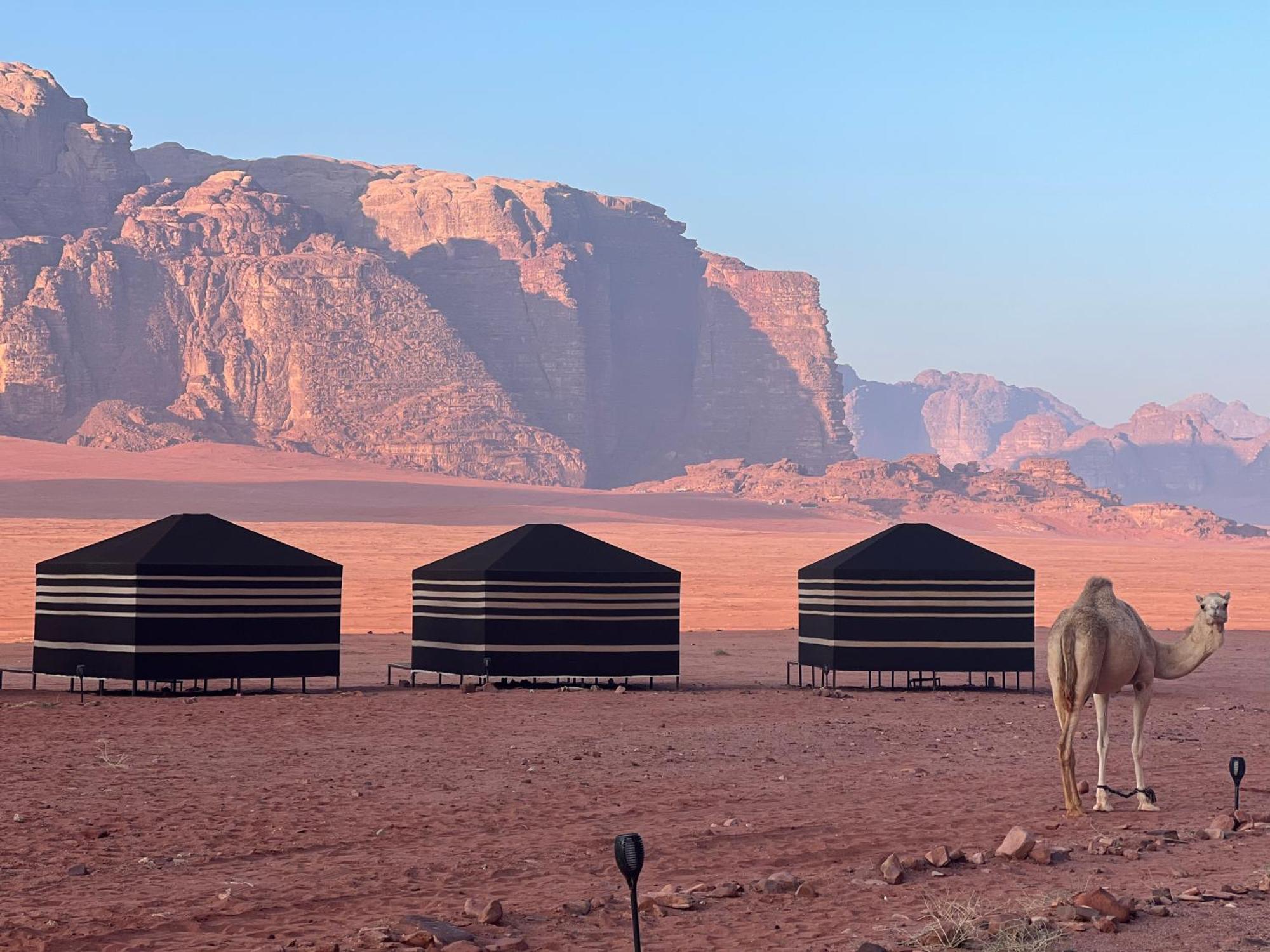 Desert Bird Camp Wadi Rum Ngoại thất bức ảnh
