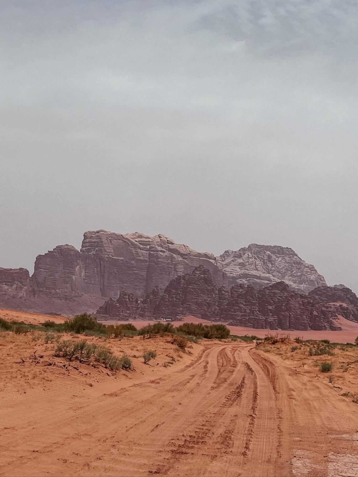Desert Bird Camp Wadi Rum Ngoại thất bức ảnh