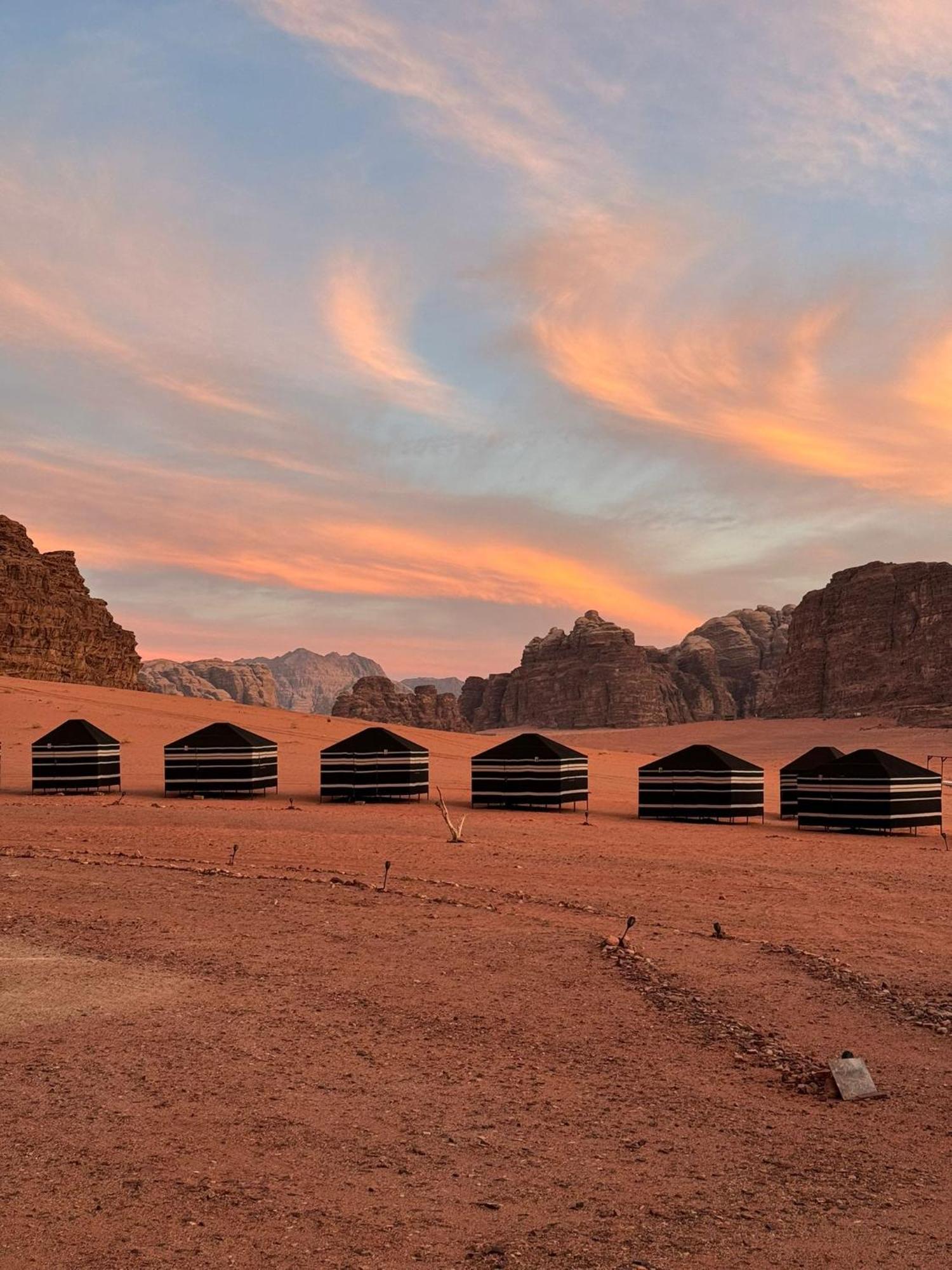 Desert Bird Camp Wadi Rum Ngoại thất bức ảnh