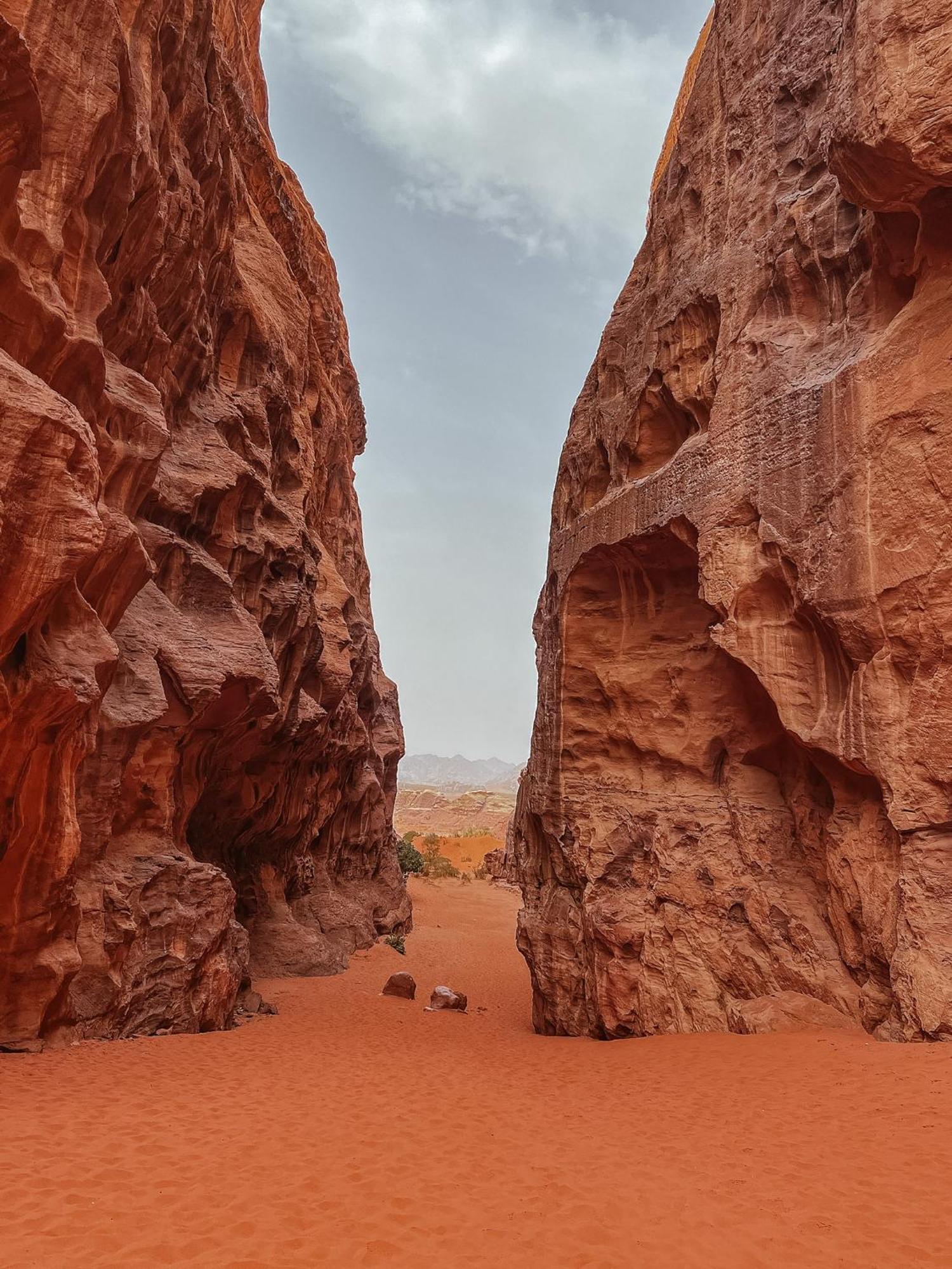 Desert Bird Camp Wadi Rum Ngoại thất bức ảnh