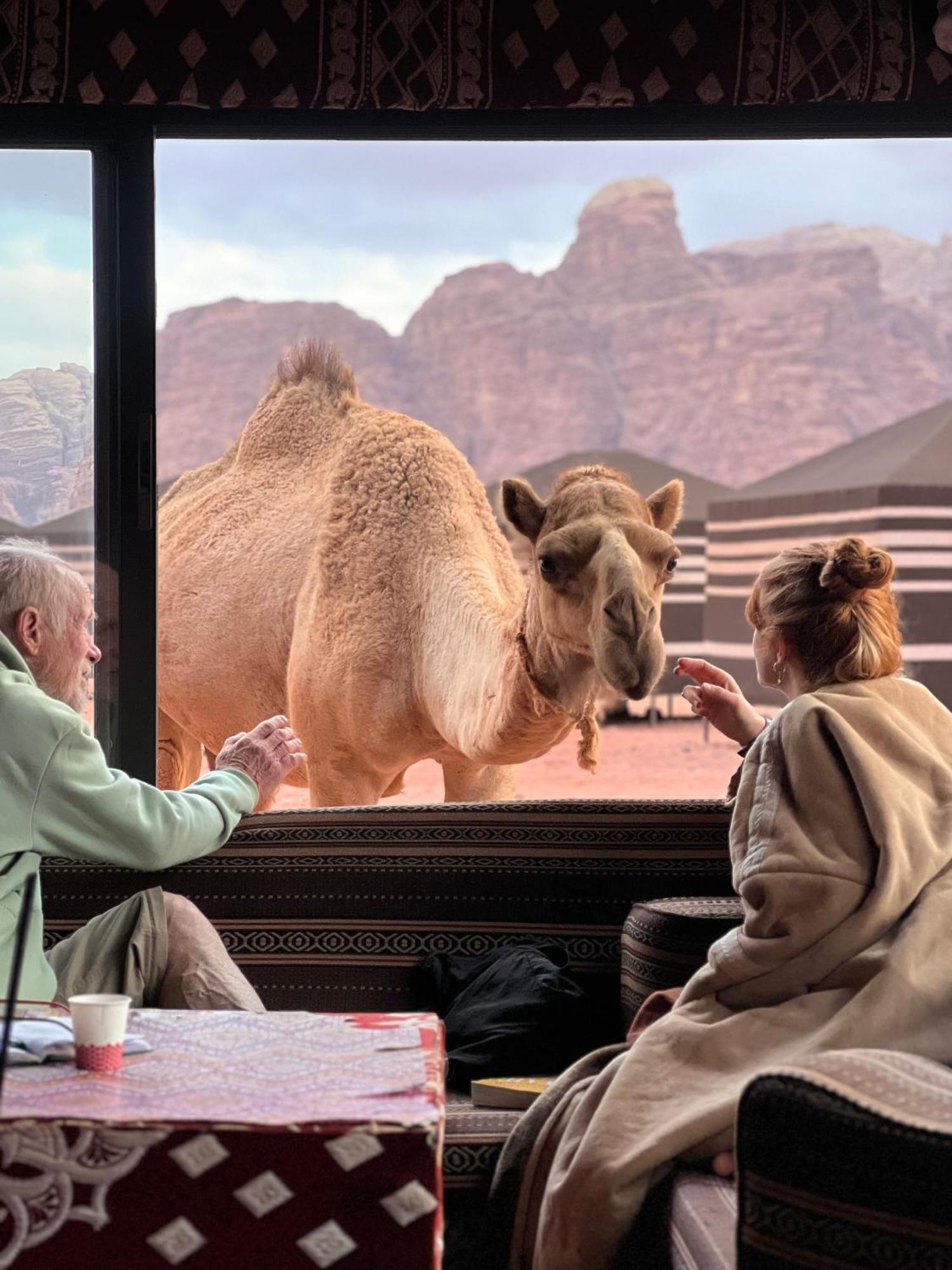 Desert Bird Camp Wadi Rum Ngoại thất bức ảnh